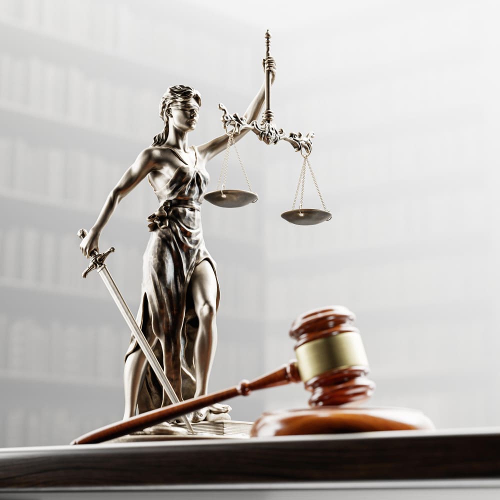 Servicios Legales y Clasificación Arancelaria